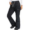 image:imageRoxy Womens Nadia Ski Pant  10K Waterproof Insulated PFASFree Adjustable Waist amp Snow GaitersAnthracite