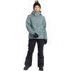 image:imageRoxy Womens Diversion Ski Pant  10k Waterproof Insulated Snow Pants Tailored Fit PfasfreeBlack