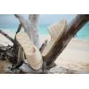 image:imageRoxy Womens Shoresoft SlideCream